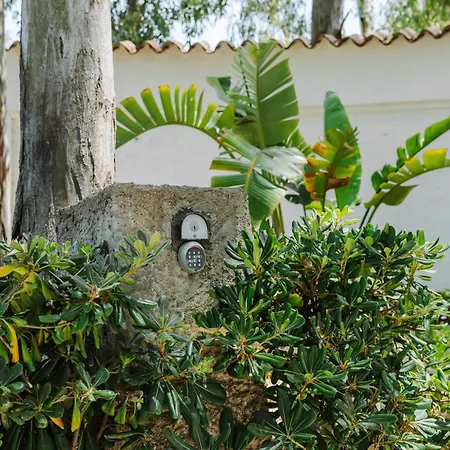 Villa Olga Accesso Privato Al Mare Pula